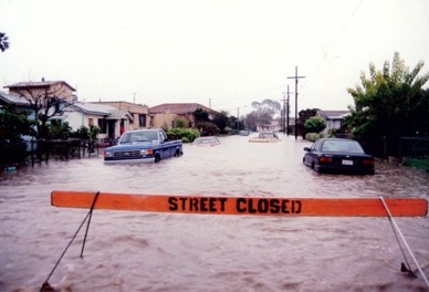 Water Means Mold